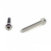 Träskruv, Platt / Kullrig skalle, TKT 4x20 mm, T20,  (20st)