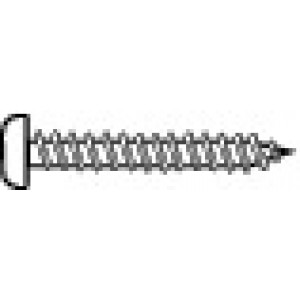 Träskruv Torx plan & kullrig