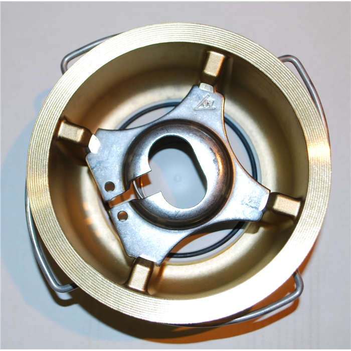 Bosch Backventil DN65 fläns - Vvsgrossen.com